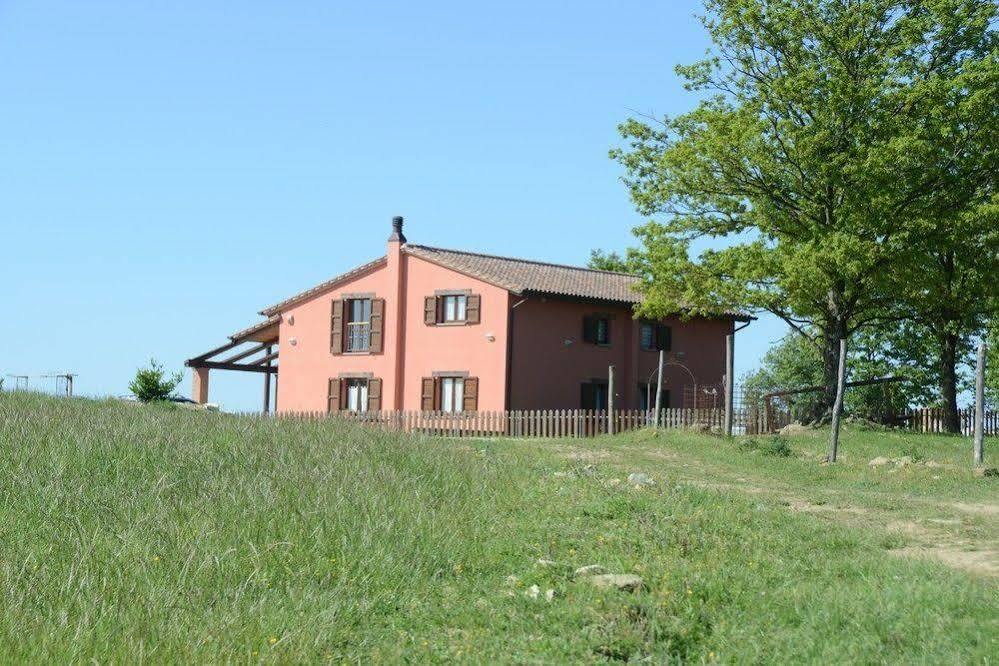 Colle Delle Meraviglie Fratticciola Selvatica 外观 照片